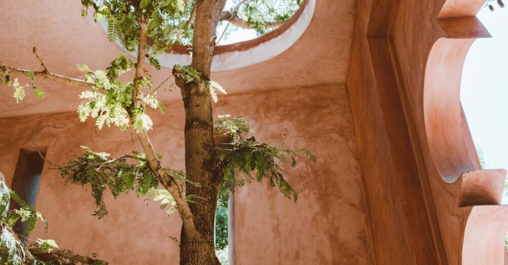 Adaptation - Tree Growing in a Decorative Brown Interior