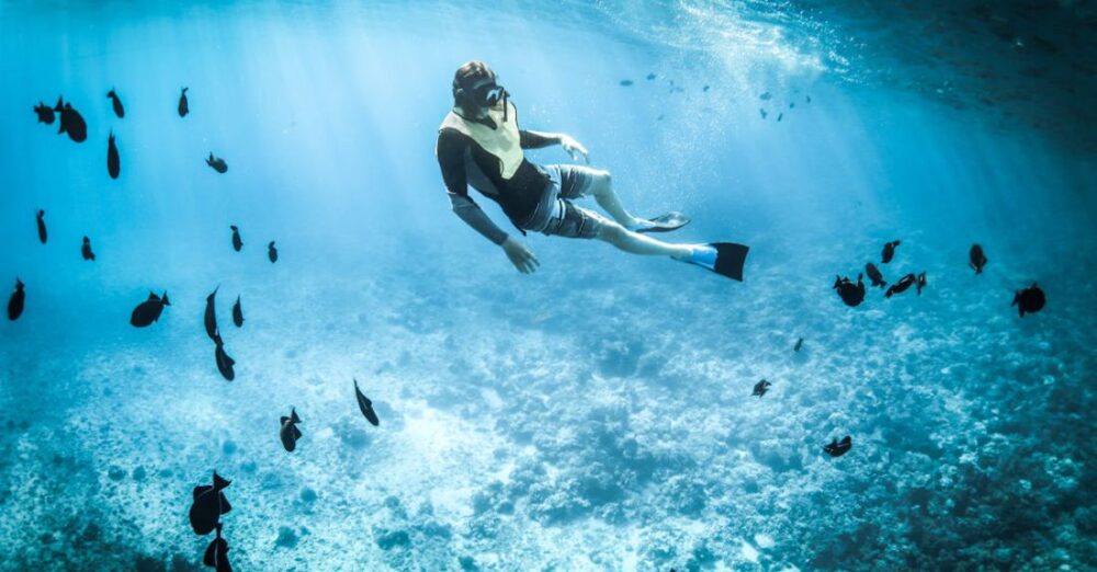 Diving - Photo of a Person Snorkeling